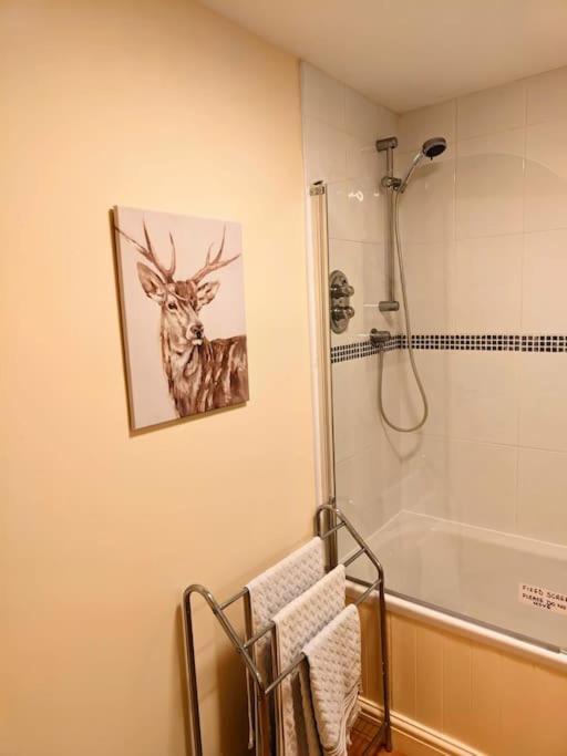 נאנטוויץ' Cosy Central Modern Apartment מראה חיצוני תמונה